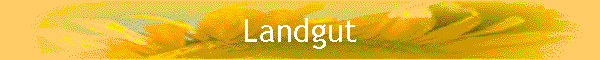 Landgut in der Toskana